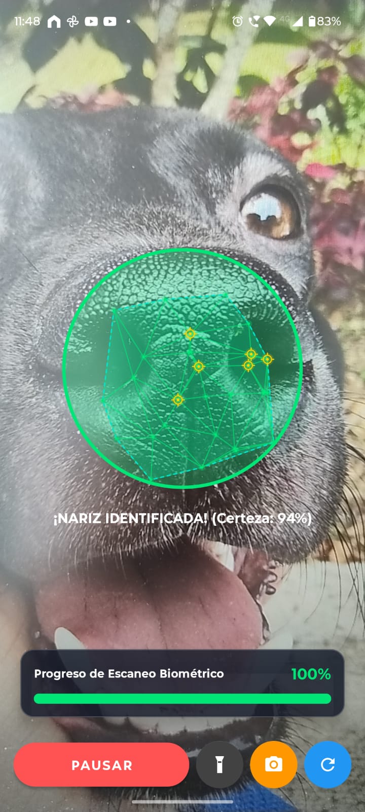 NoseID: identificación exitosa